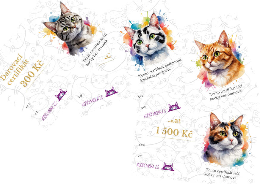 Darovací certifikát